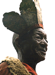 Dongba Shaman